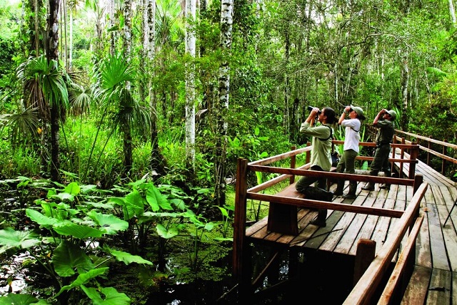 Inkaterra Reserva Amazonica, Puerto Maldonado