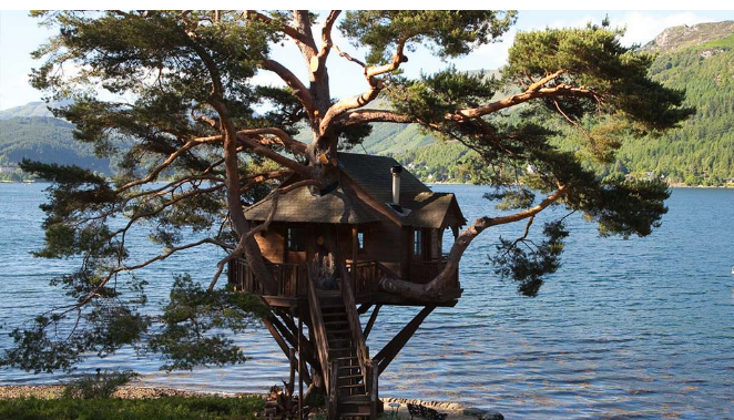 treehouse in scotland