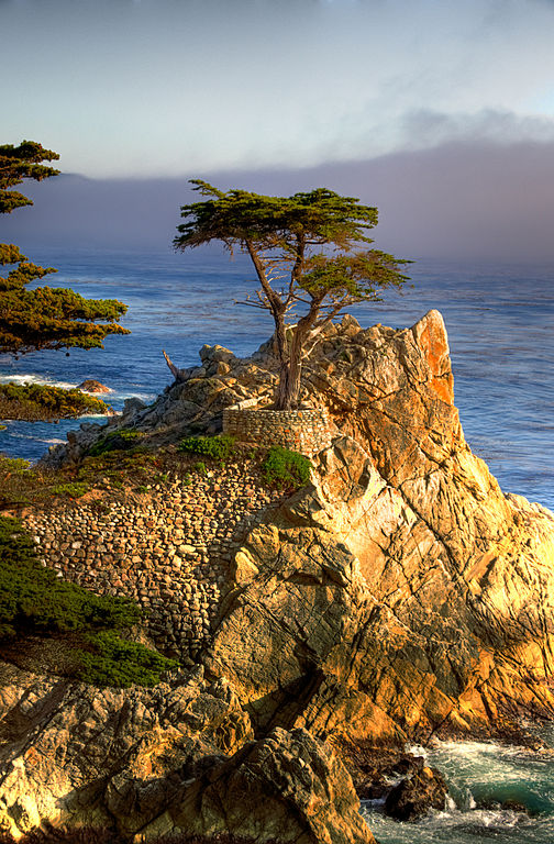 Pacific Grove, California