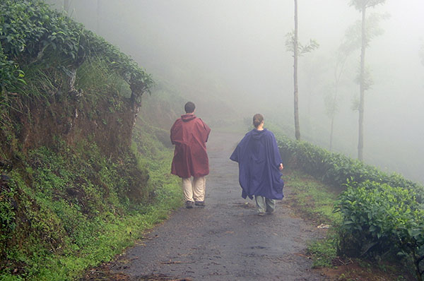 blackberryresorts, Munnar