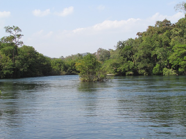 Dandeli, kali river