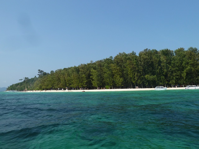 Bamboo island