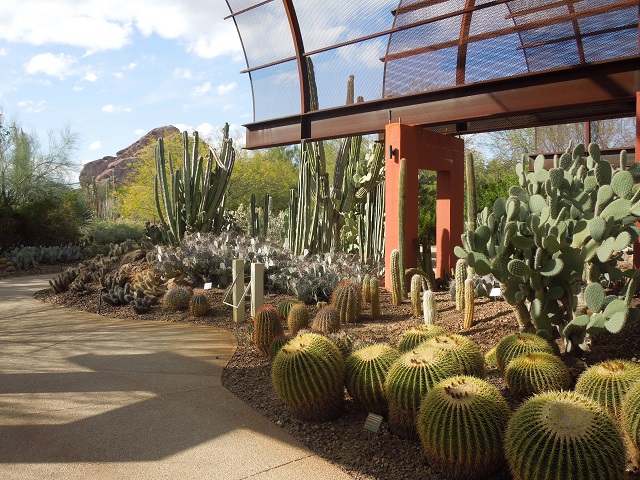 Desert Botanical Garden Phoenix, Arizona