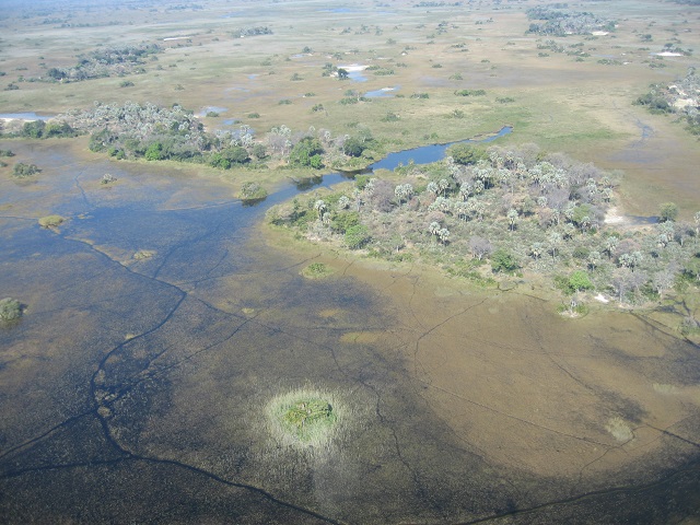 Okavango Delta,Botswana