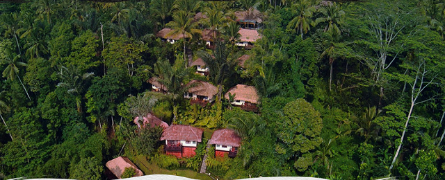 Scenic Nandini Jungle Resort and Spa