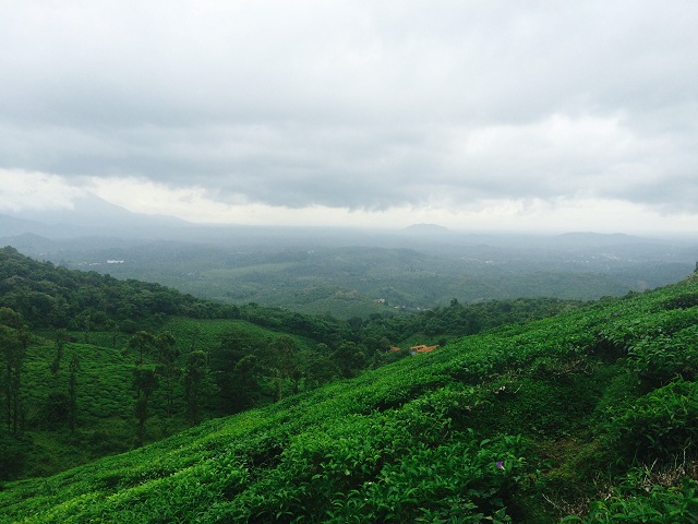 Wayanad Tourist Attractions Chembra Hill