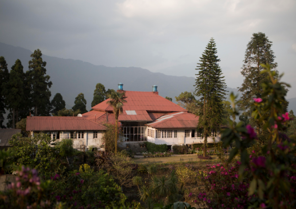 Goomtee Tea Estate Darjeeling