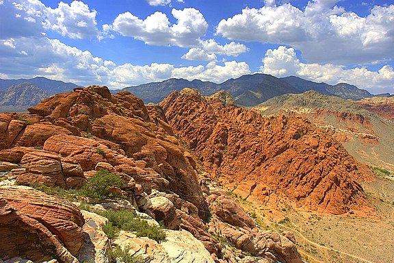 Mojave Desert in Nevada