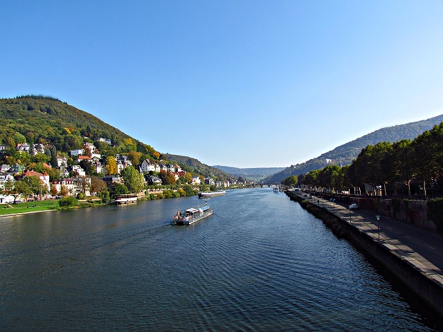 Rhine scenic river cruises