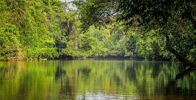 Adavi Lake, Kerala Destinations