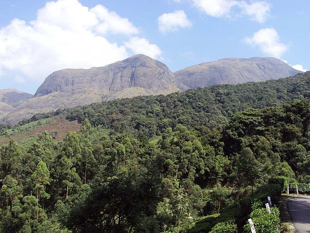 Anamudi Peak, Kerala Destinations
