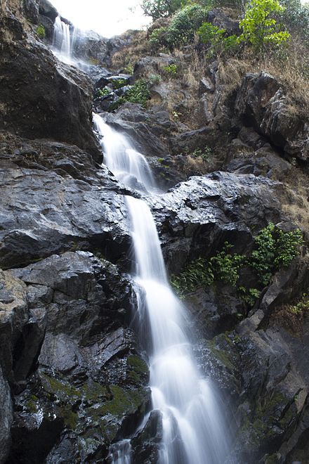 Iruppu Falls, Kerala Destinations