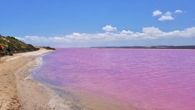 Most Beautiful Places in the World to Travel Pink Lake