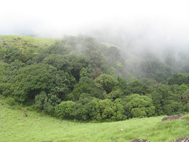 Ranipuram, Kerala Destinations