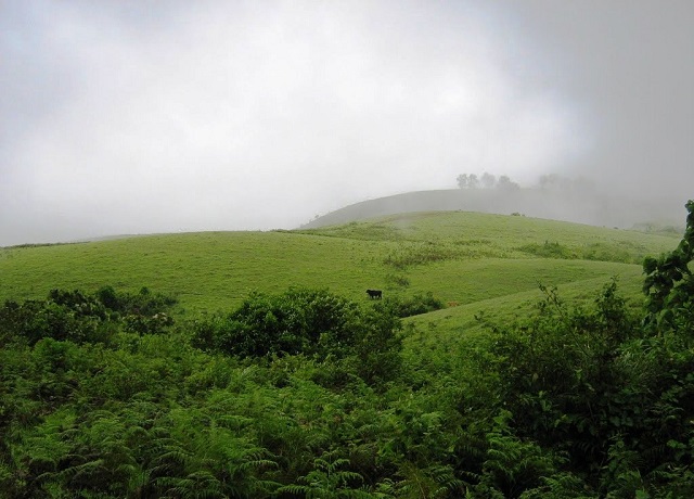Vagamon Hills, Kerala Destinations