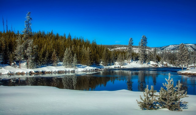 yellowstone national park in winter
