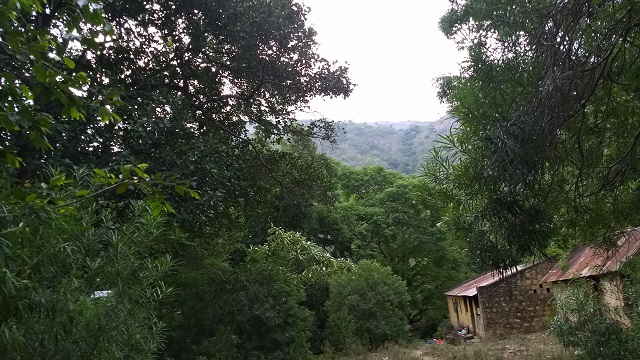 Sathuragiri Hills, Srivilliputhur Grizzled Squirrel Wildlife Sanctuary