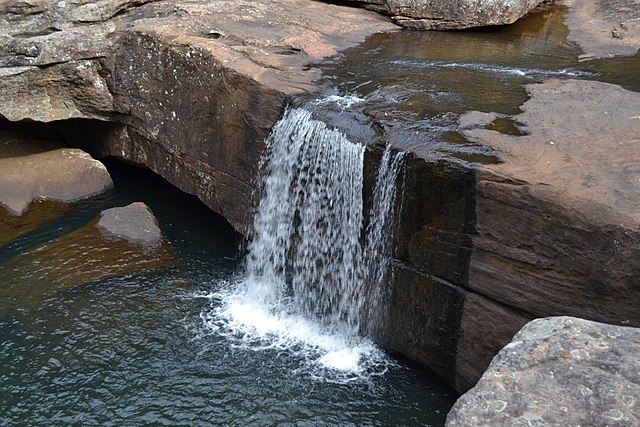 Unique things to do in sydney Dharawal National park