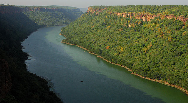 Chambal river