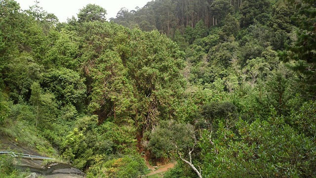 Kodaikanal