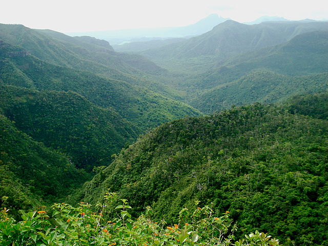 Best Places to Visit in Africa in 2020 Black River Gorges