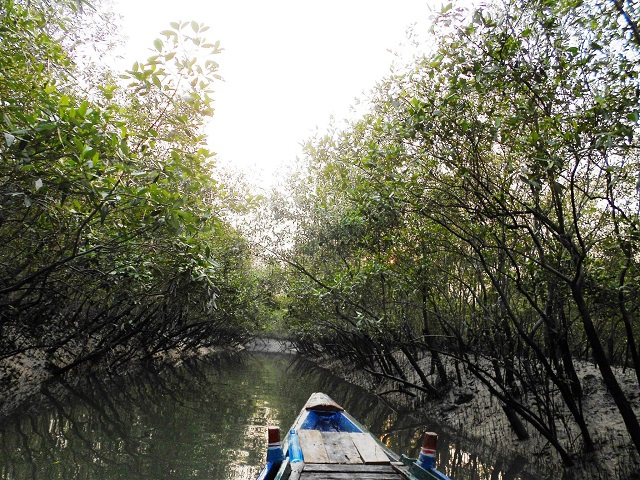 River Canoeing in Sundarbans