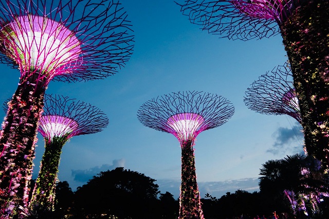 best places to Visit in Southeast Asia Garden by the Bay