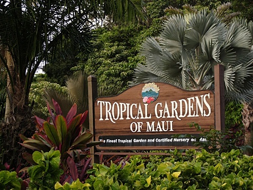 Tropical Gardens of Maui