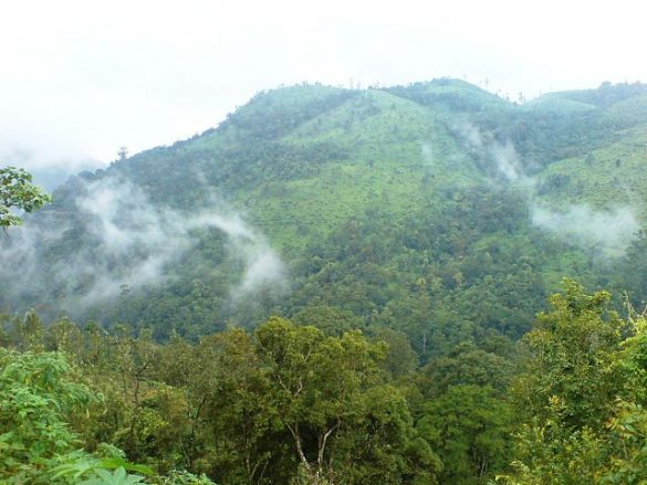 Peerumedu-least Known Hill Station In Kerala – View Traveling