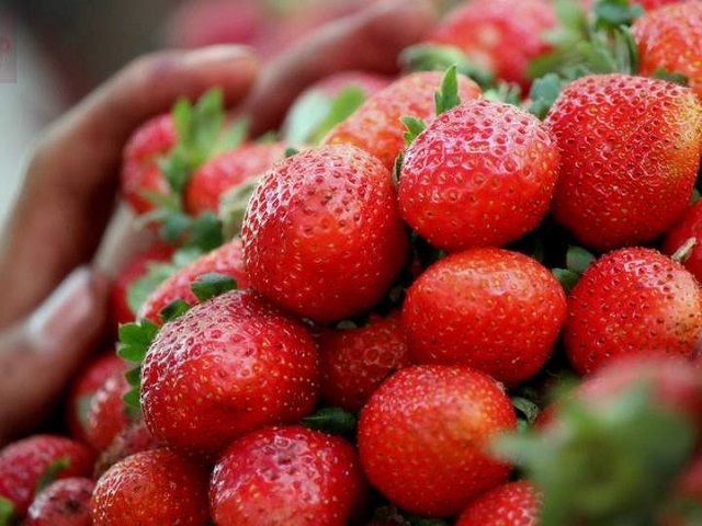 strawberry