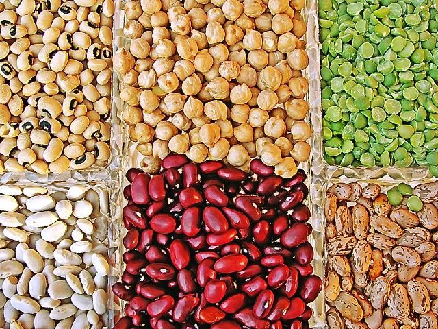 Legumes