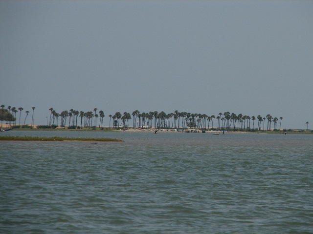 Pulicat Lake