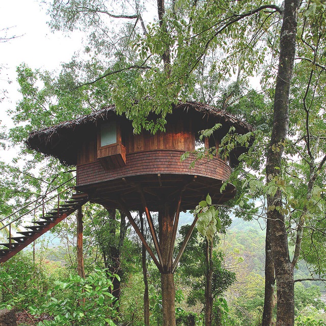 Athirapalli Rainforest tree house