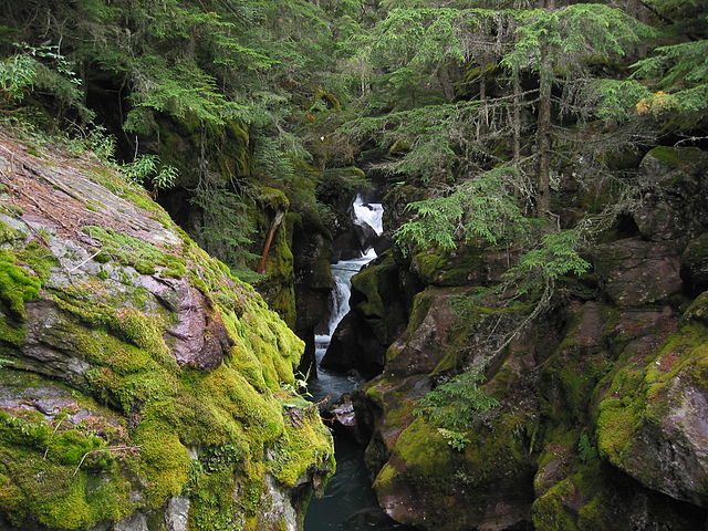 Montana Attractions Avalanche Gorge