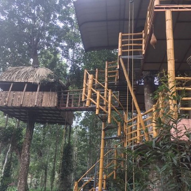 Jungle Jive Tree House