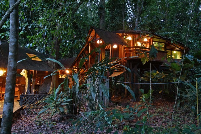 Tree House Lodge