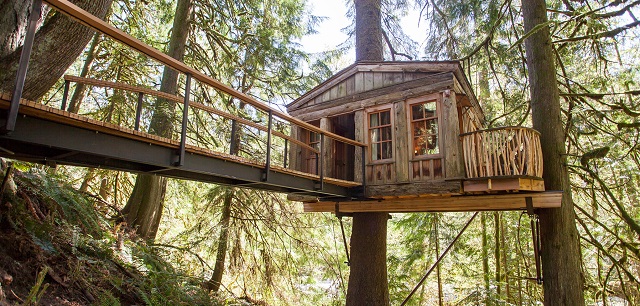 Treehouse Point