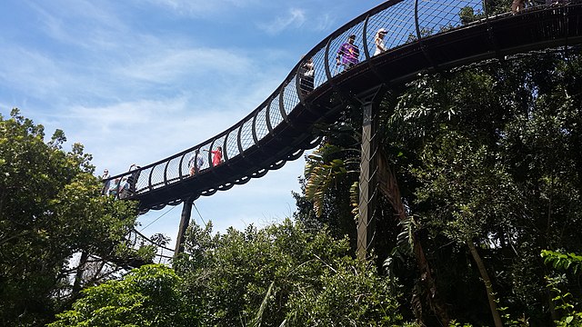 Kirstenbosch National Botanical Garden