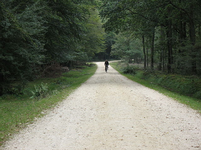 cycle path