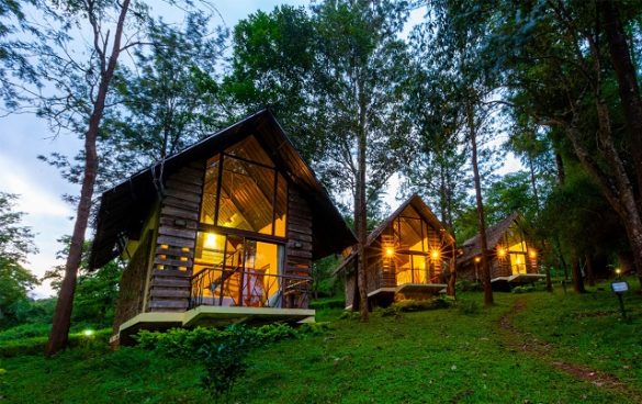 Jungle Resorts And Lodges In Karnataka | View Traveling