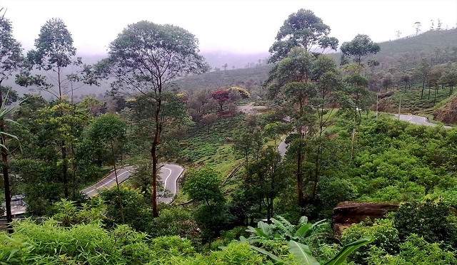 Nuwara Eliya, Sri Lanka, Affordable Tropical Vacation Destinations