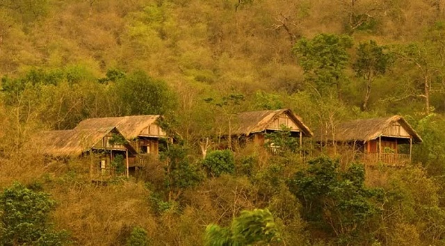 River Tern Jungle Lodge