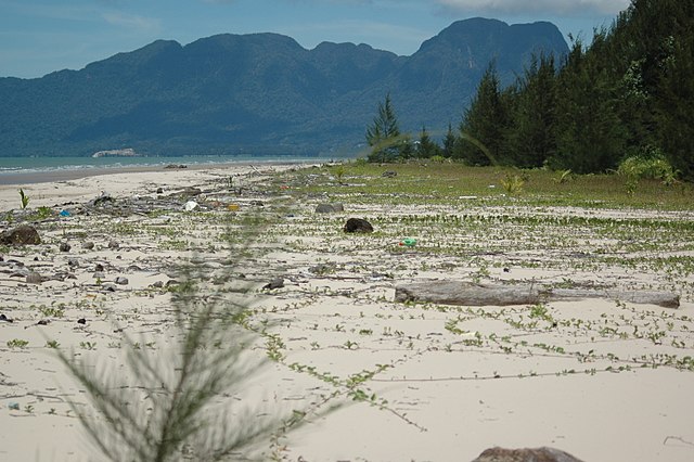 Kuching Wetlands