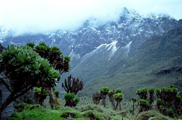 Virunga National Park