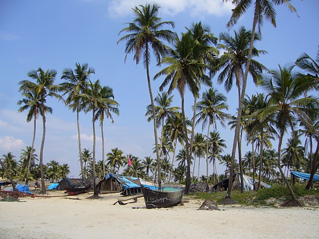 Goa beach resort
