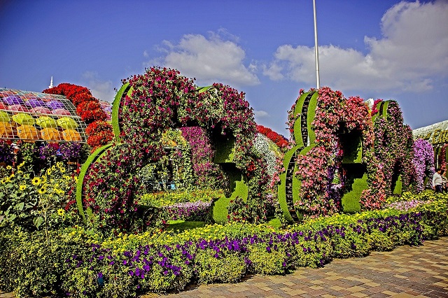 Miracle Garden