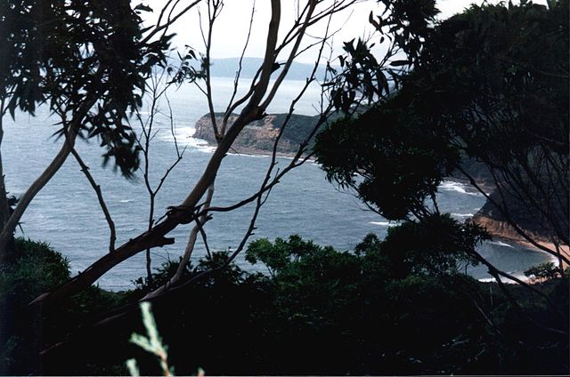 Australian Zoo: Bouddi National Park