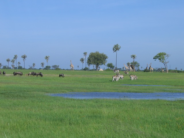 Hwange National Park