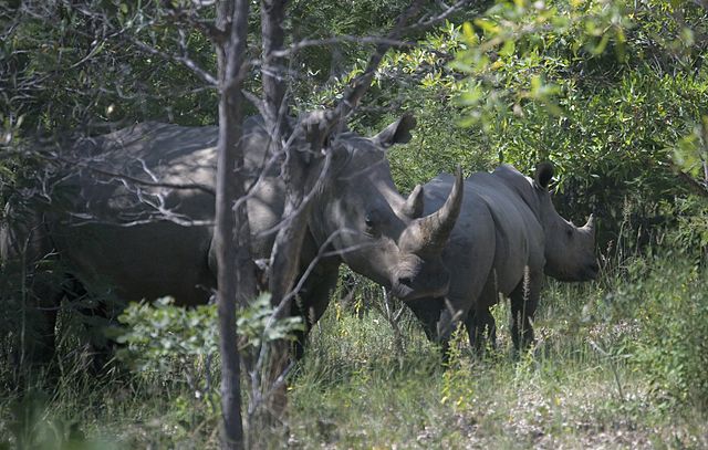 Matobo National Park