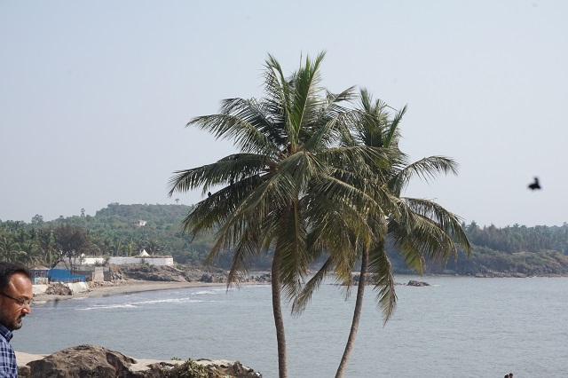 Velankanni Beach